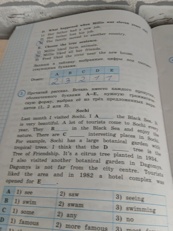 Прочитай рассказ. Вставь вместо каждого пропуска, обозначенного буквами A–E, нужную грамматическую форму, выбрав её из трёх предложенных вариантов (1, 2 или 3).