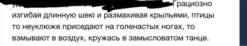 Синтаксический разбор предложения: Грациозно изгибая длинную шею и размахивая крыльями, птицы то неуклюже приседают на голенастых ногах, то взмывают в воздух, кружась в замысловатом танце.