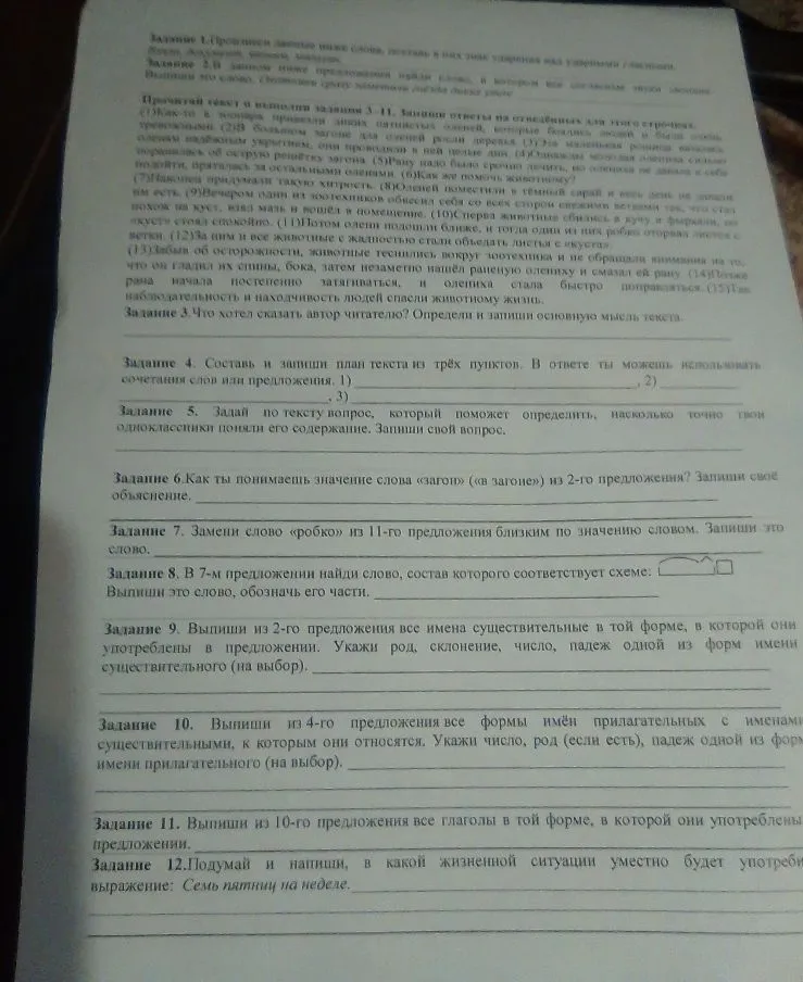 Прочитай текст и выполни задания 3-12.