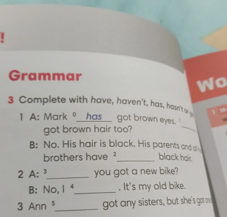 Complete with have, haven't, has, hasn't or got