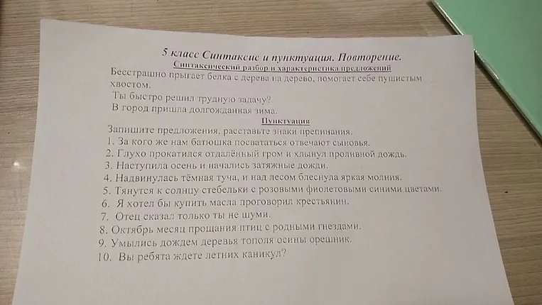5 класс Синтаксис и пунктуация. Повторение. Синтаксический разбор и характеристика предложений. Пунктуация. Запишите предложения, расставьте знаки препинания.