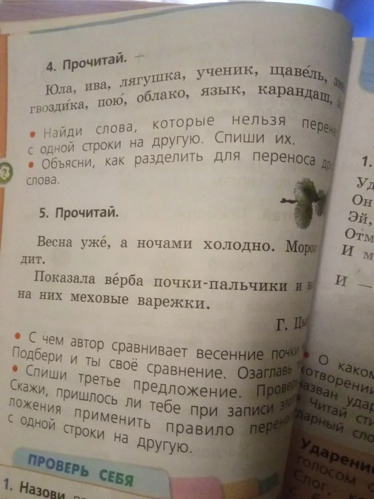 Найди слова, которые нельзя переносить с одной строки на другую. Спиши их. Объясни, как разделить для переноса другие слова.