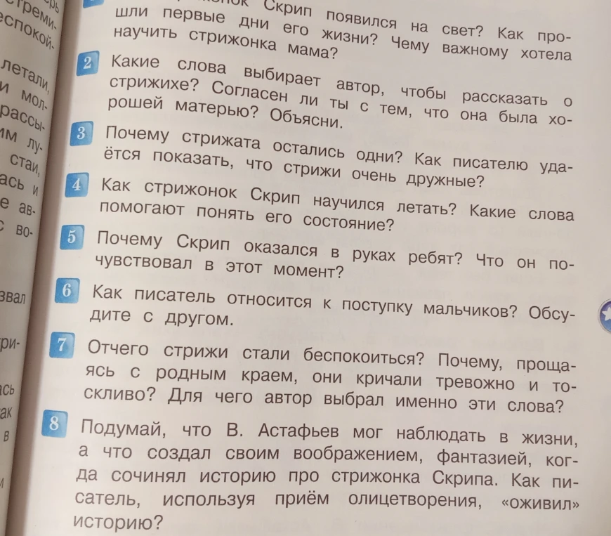 Вопросы по рассказу В. П. Астафьева 'Стрижонок Скрип'