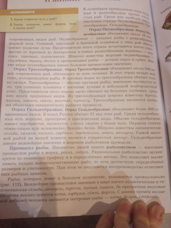 Выписать все виды и отряды рыб