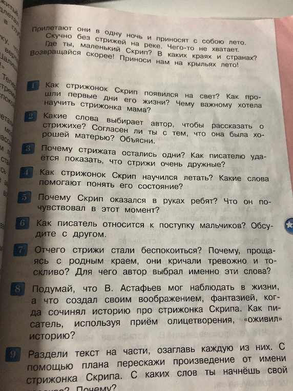 Как стрижонок Скрип появился на свет? Как прошли первые дни его жизни? Чему важному хотела научить стрижонка мама?