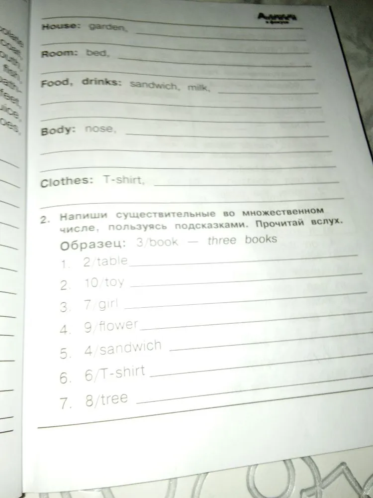 Напиши существительные во множественном числе, пользуясь подсказками.