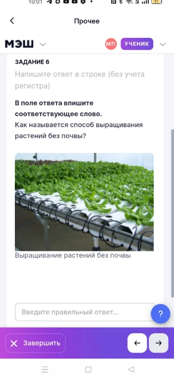 Как называется способ выращивания растений без почвы?