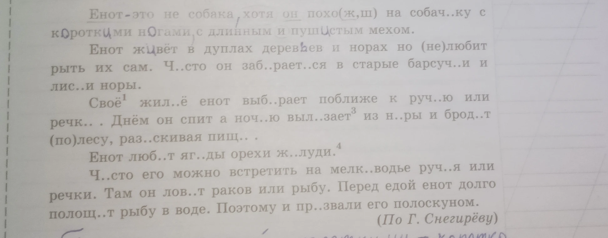 Енот — это не собака, хотя он похож на собачку с короткими ногами, с длинным и пушистым мехом. Вставьте орфограммы и пунктуационные знаки.
