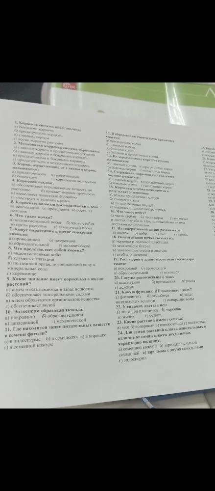 1. Корневая система представлена: а) боковыми корнями б) придаточными корнями в) всеми корнями растения