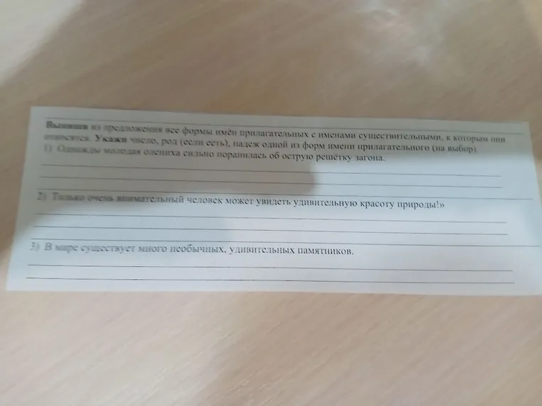 Выпиши из предложения все формы имён прилагательных с именами существительными, к которым они относятся. Укажи число, род (если есть), падеж одной из форм имени прилагательного (на выбор).