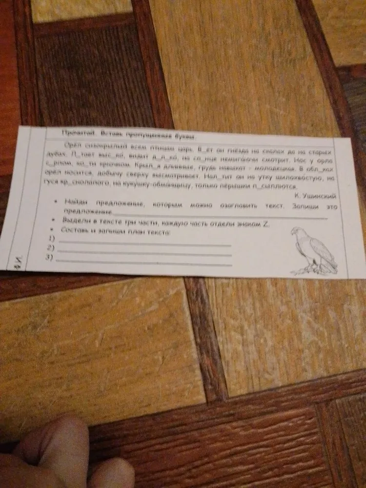 Прочитай. Вставь пропущенные буквы. Найди предложение, которым можно озаглавить текст. Выдели в тексте три части. Составь и запиши план текста.