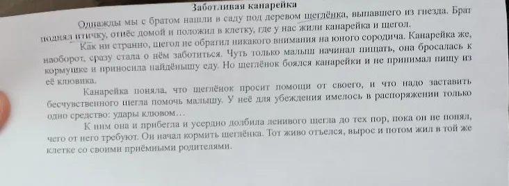 Сжатое изложение текста 'Заботливая канарейка' из 6 предложений