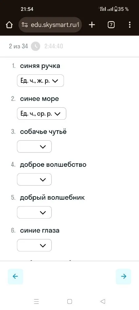 Определите число и род имен прилагательных в словосочетаниях: собачье чутьё, доброе волшебство, добрый волшебник, синие глаза.