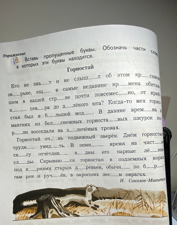Вставь пропущенные буквы. Обозначь части слов, в которых эти буквы находятся. Горностай.