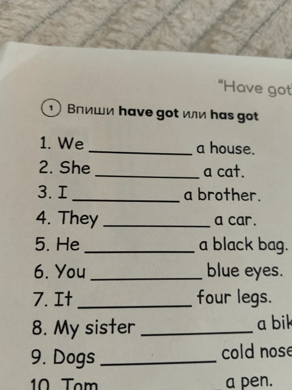 Впиши have got или has got