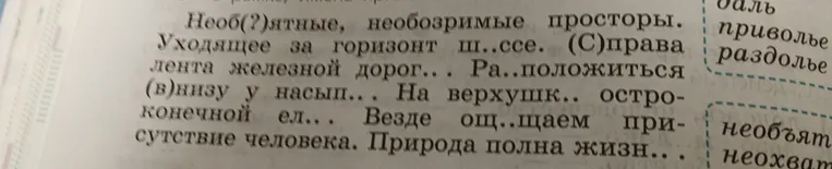 Вставьте пропущенные буквы и раскройте скобки в тексте: Необ(?)ятные, необозримые просторы. Уходящее за горизонт ш..ссе...