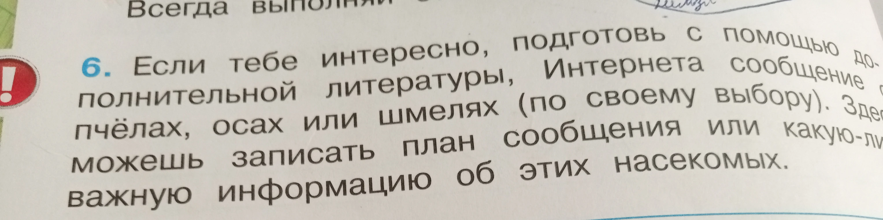 Подготовь сообщение о пчёлах, осах или шмелях (по своему выбору). Запиши план сообщения или важную информацию об этих насекомых.