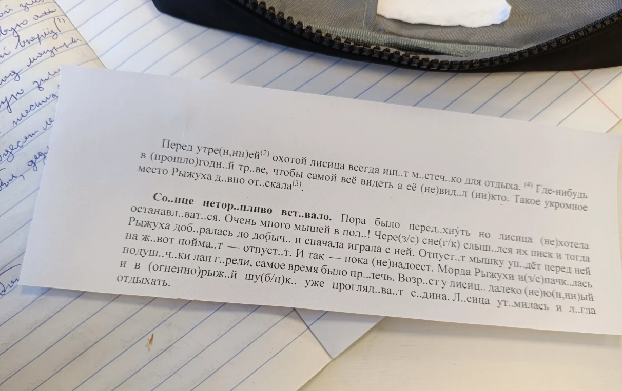 Перед утре(н,нн)ей охотой лисица всегда ищ..т м..стеч..ко для отдыха.