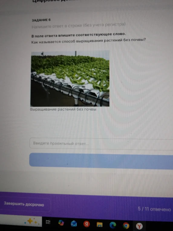 Как называется способ выращивания растений без почвы?