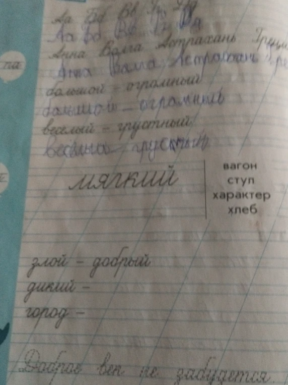 Подберите антонимы к словам: дикий — ..., город — ...