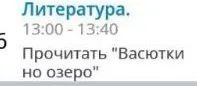 Прочитать "Васюткино озеро"
