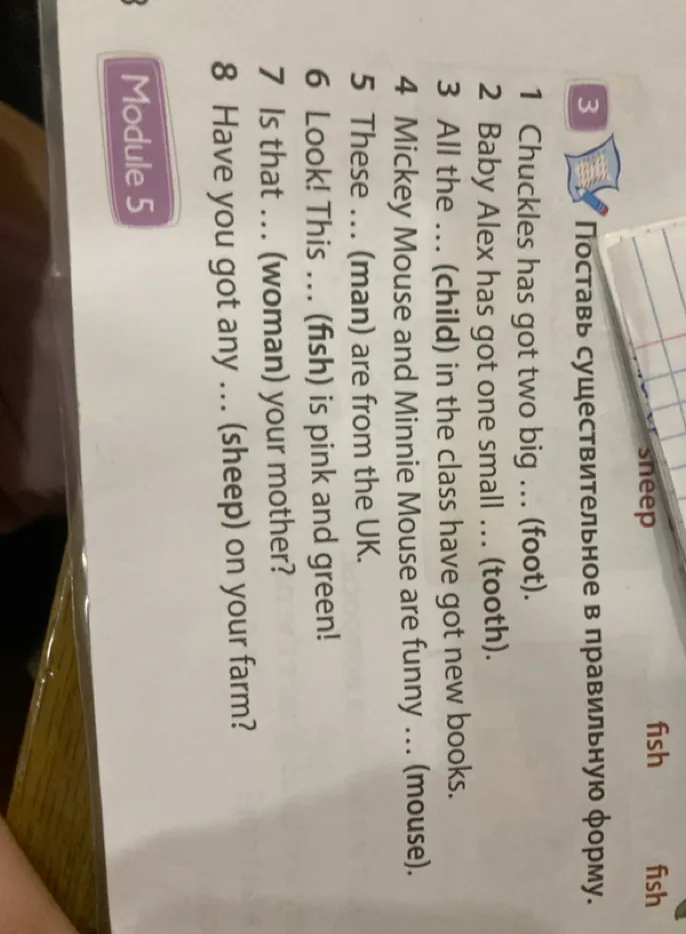 Поставь существительное в правильную форму. 1 Chuckles has got two big ... (foot).