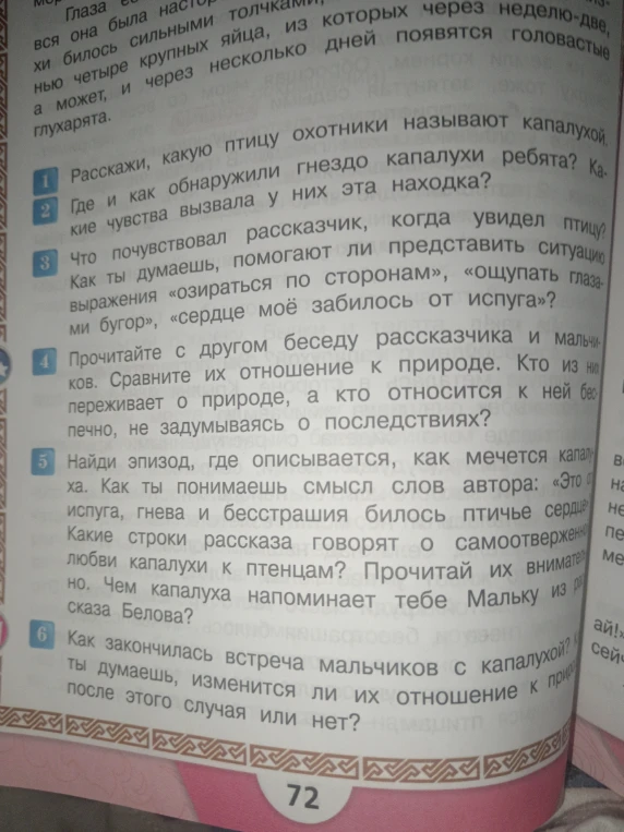 Расскажи, какую птицу охотники называют капалухой. Где и как обнаружили гнездо капалухи ребята?