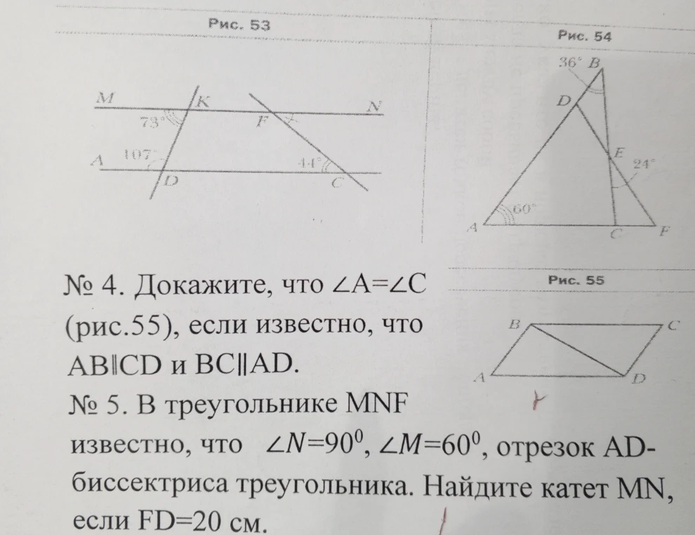 Докажите, что ∠A=∠C (рис.55), если известно, что AB||CD и BC||AD.
