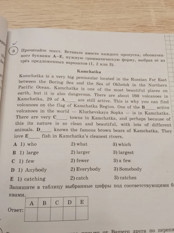 Прочитайте текст. Вставьте вместо каждого пропуска, обозначенного буквами A–E, нужную грамматическую форму, выбрав её из трёх предложенных вариантов (1, 2 или 3).