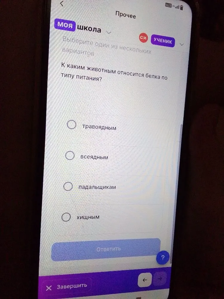 К каким животным относится белка по типу питания?