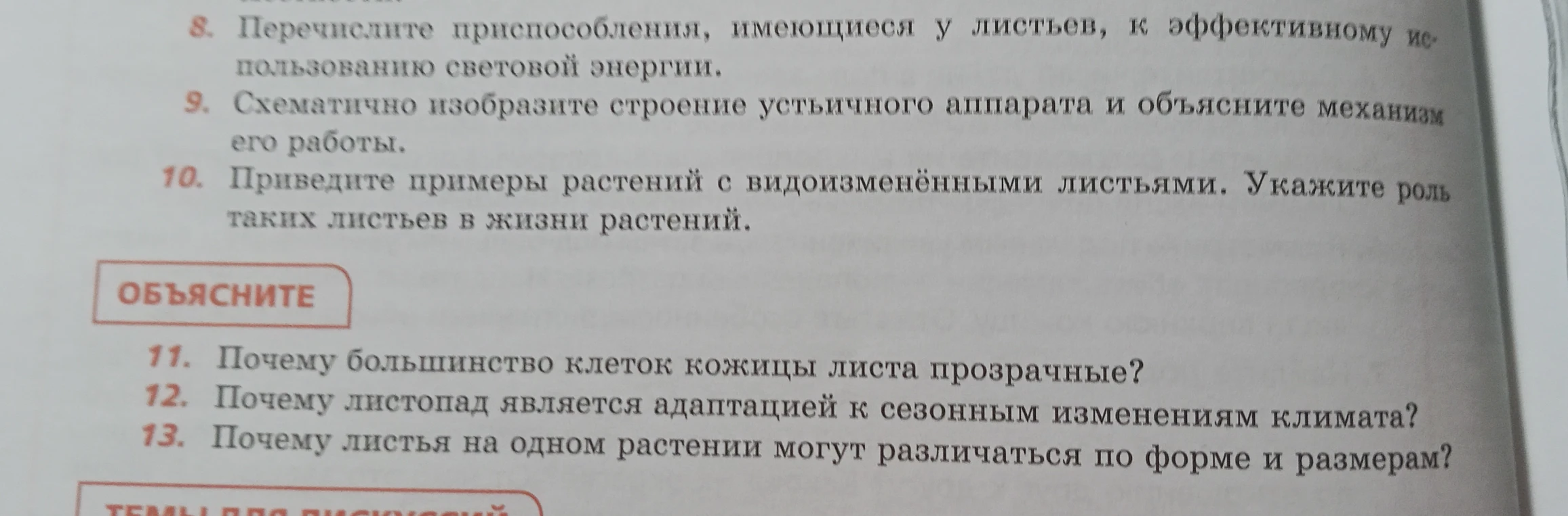 Перечислите приспособления, имеющиеся у листьев, к эффективному использованию световой энергии.