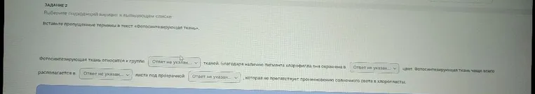 Вставьте пропущенные термины в текст «Фотосинтезирующая ткань»