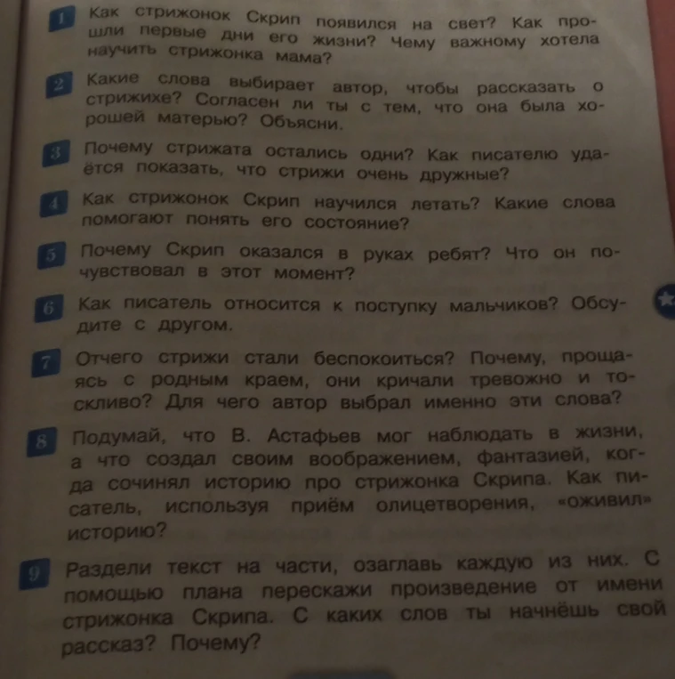 Как стрижонок Скрип появился на свет? Как прошли первые дни его жизни? Чему важному хотела научить стрижонка мама?