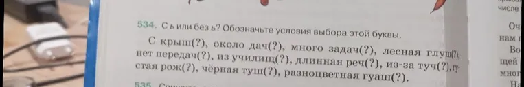 534. С ь или без ь? Обозначьте условия выбора этой буквы. С крыш(?), около дач(?), много задач(?), лесная глушь(?), нет передач(?), из училищ(?), длинная речь(?), из-за туч(?), густая рожь(?), чёрная тушь(?), разноцветная гуашь(?).