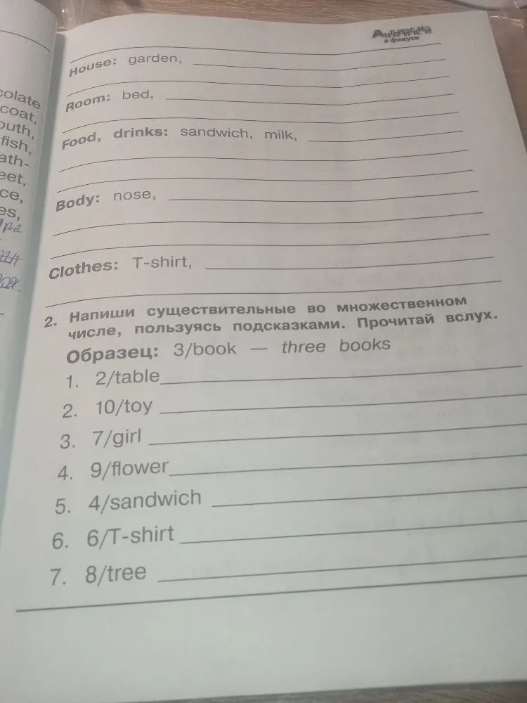 Напиши существительные во множественном числе, пользуясь подсказками.
