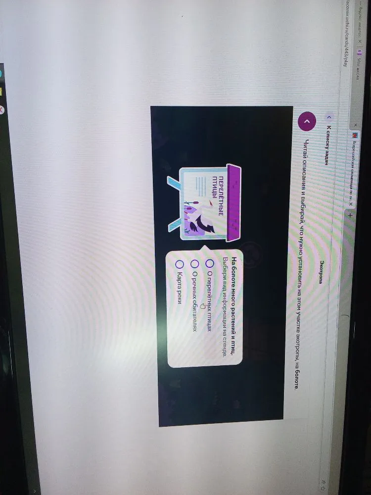 Читай описания и выбирай, что нужно установить на этом участке экотропы, на болоте. На болоте много растений и птиц. Выбери вид информации на стенде.