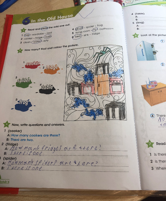 How many? Find and colour the picture. Now, write questions and answers.