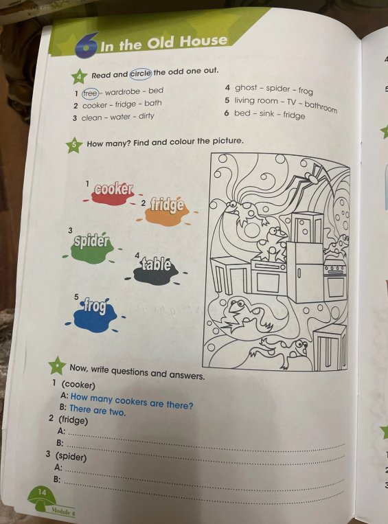 Read and circle the odd one out. How many? Find and colour the picture. Now, write questions and answers.