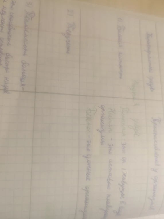 Заполните таблицу приспособлений у организмов (планктон, нектон, бентос)