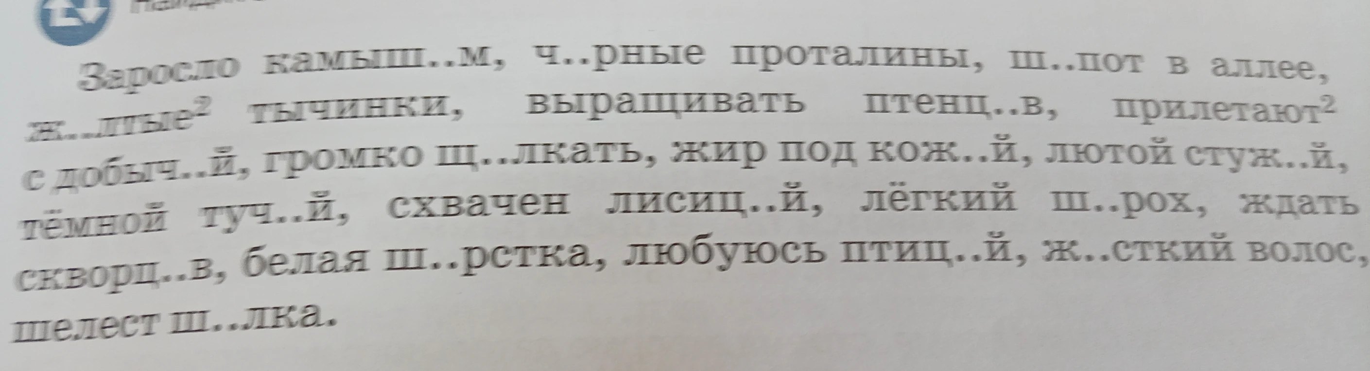 Записать словосочетания, в которых есть слова с буквами е, ё, о, после шипящих и ц в две строчки.