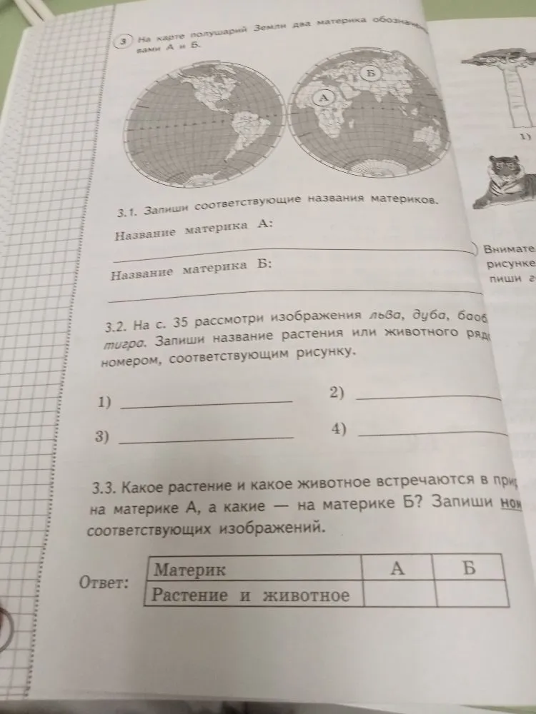 На карте полушарий Земли два материка обозначены буквами А и Б. Запиши соответствующие названия материков.