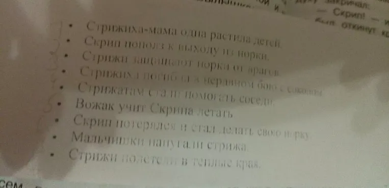 Раздели рассказ «Стрижонок Скрип» на части (составь план по пунктам).