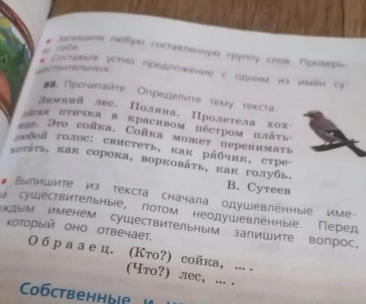 Выпишите из текста сначала одушевлённые имена существительные, потом неодушевлённые. Перед каждым именем существительным запишите вопрос, на который оно отвечает.