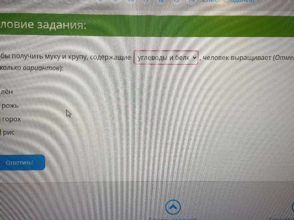 Чтобы получить муку и крупу, содержащие углеводы и белки, что человек выращивает?