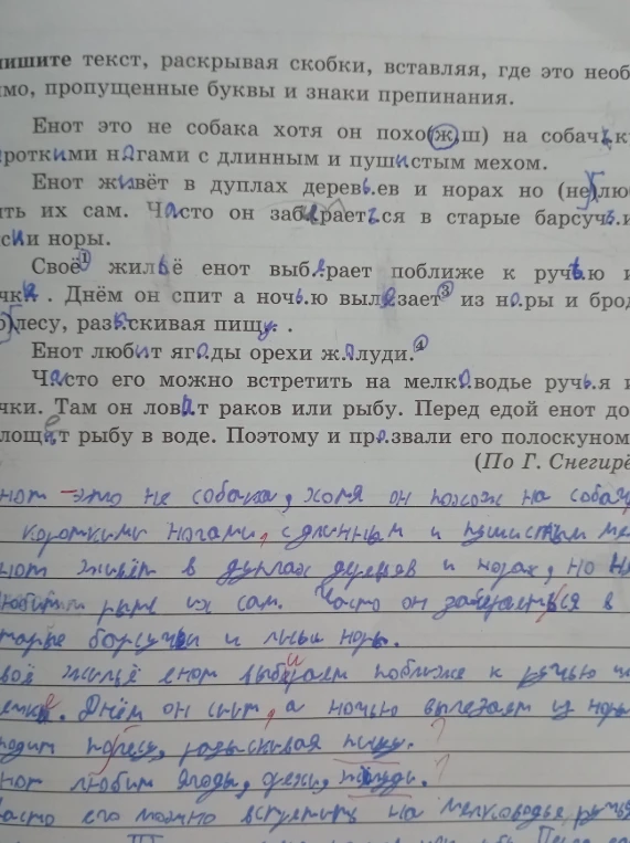 Спишите текст, раскрывая скобки, вставляя, где это необходимо, пропущенные буквы и знаки препинания.