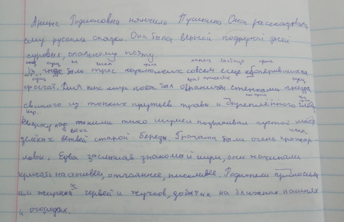 Разберите по членам предложения текст про Арину Родионовну.