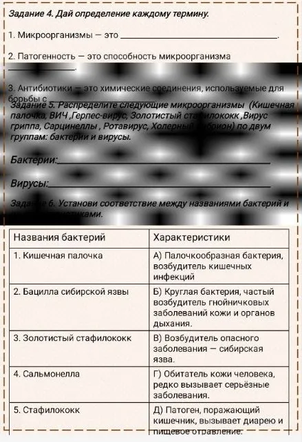 Задание 4. Дай определение каждому термину. 1. Микроорганизмы — это... 2. Патогенность — это... 3. Антибиотики — это... Задание 5. Распределите следующие микроорганизмы по двум группам: бактерии и вирусы. Задание 6. Установи соответствие между названиями бактерий и их характеристиками.