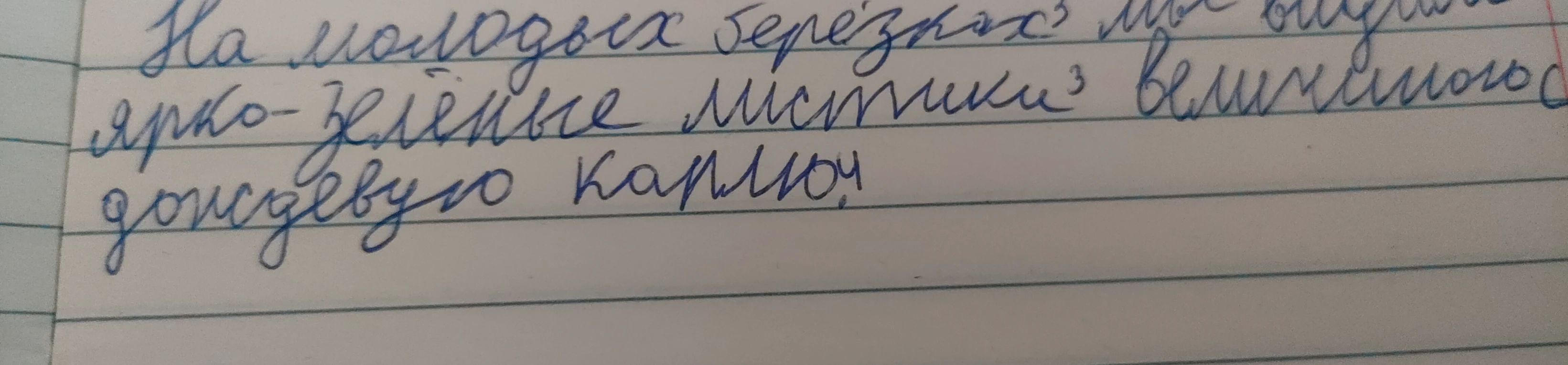 Выполните синтаксический разбор предложения: На молодых берёзках мы видим ярко-зелёные листики величиною с дождевую каплю.