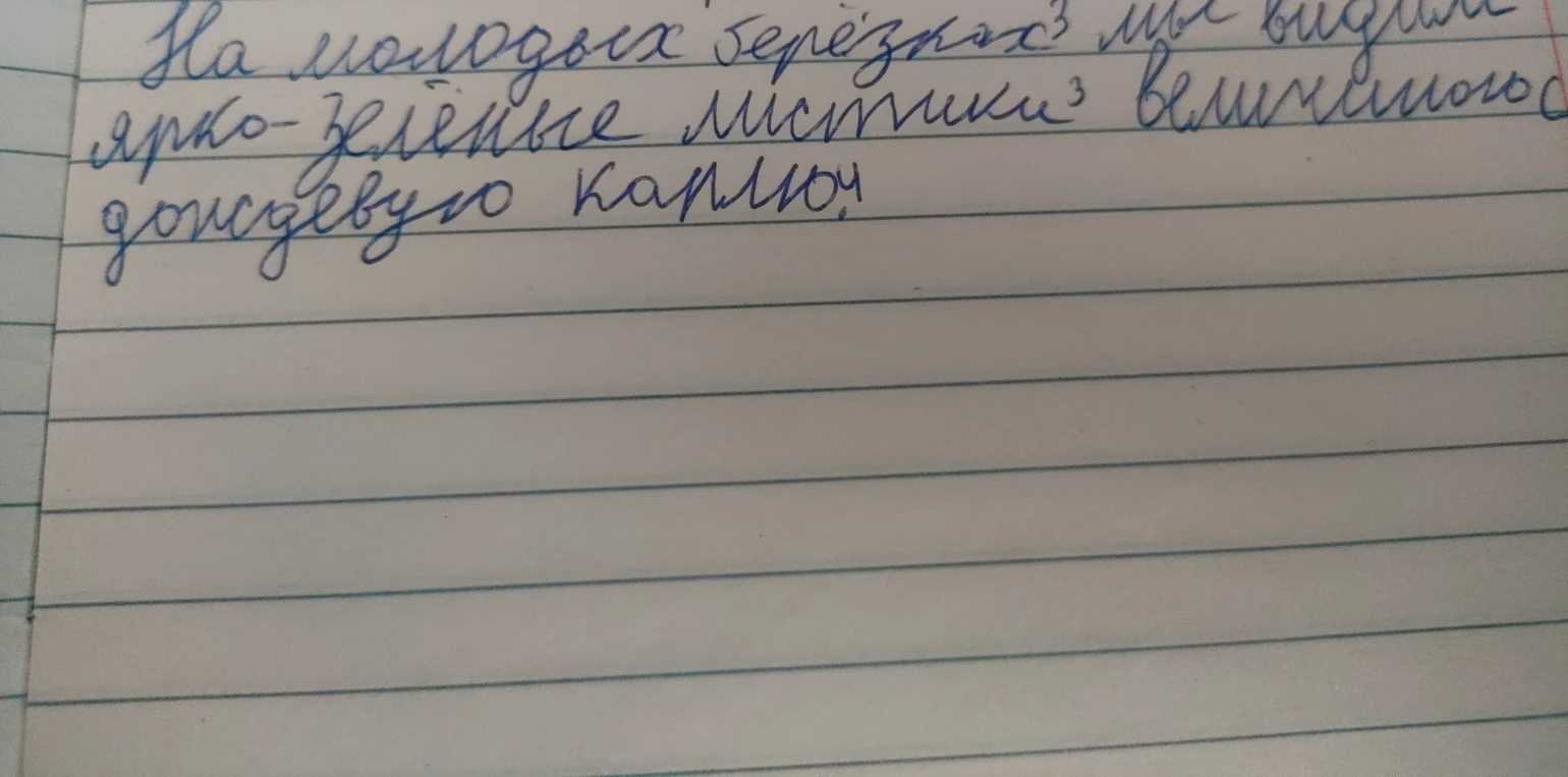 Сделай синтаксический разбор предложения: На молодых берёзках мы видим ярко-зелёные листики величиною в дождевую каплю