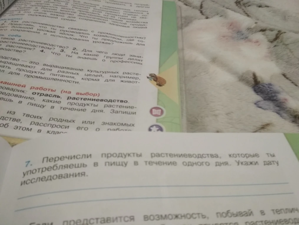 7. Перечисли продукты растениеводства, которые ты употребляешь в пищу в течение одного дня. Укажи дату исследования.